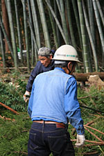 NPO�@�l�@���R�N���[���V��