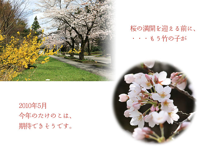 ���̖��J���}����O�ɁE�E�E�����|�̎q���B