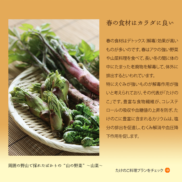 �t�̐H�ނ͐g�̂ɗǂ�