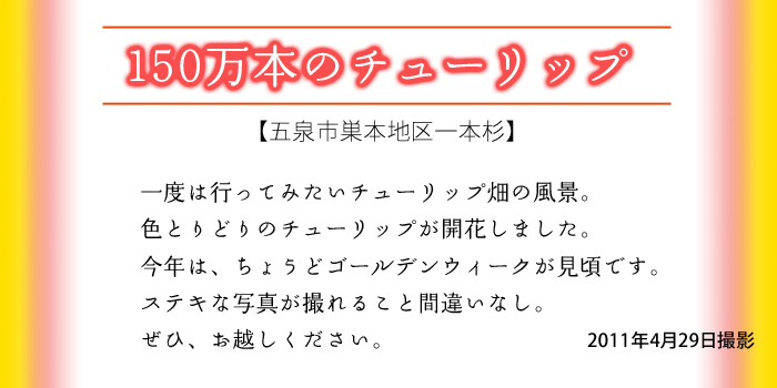 �V�����ܐ�s�̃`���[���b�v