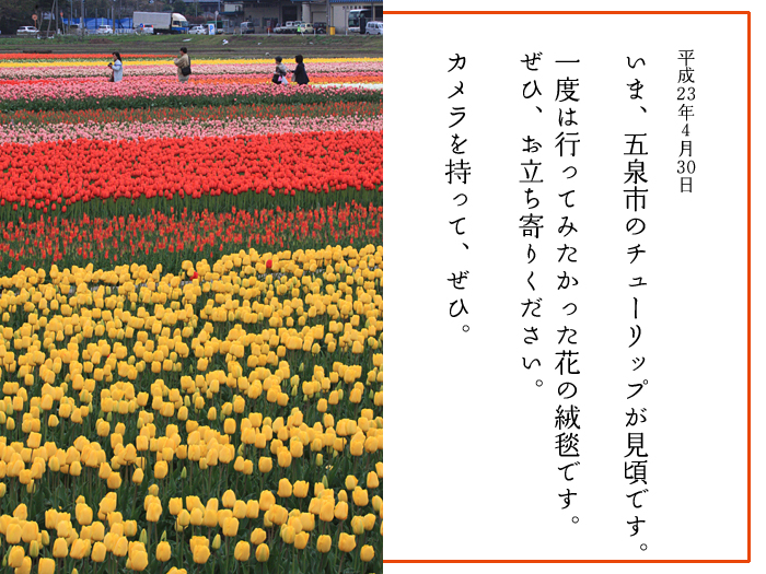 �V�����ܐ�s�`���[���b�v��