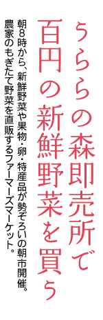 �����̐X�ŕS�~�̖�؂𔃂�