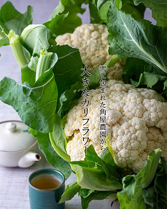 雪のように大きなカリフラワー
