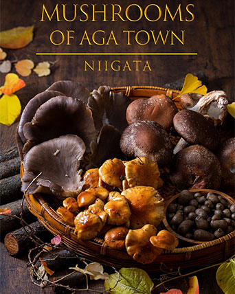 きのこ 山のめぐみ