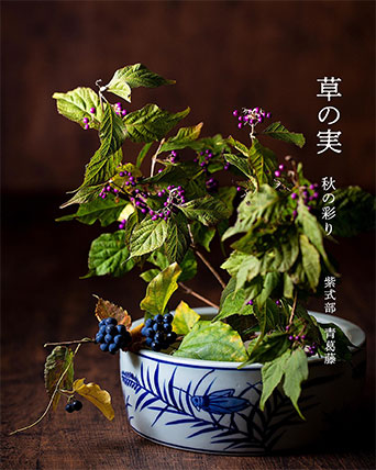 秋の草の実 紫式部