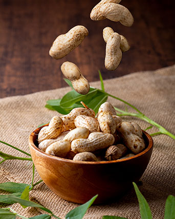 角屋農園の落花生