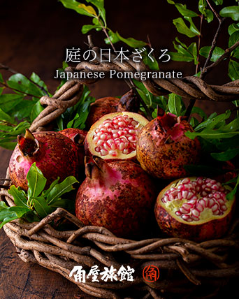 庭の日本ざくろ