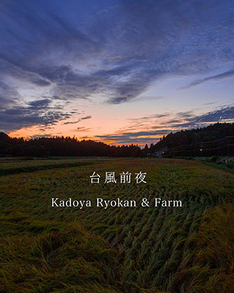 稲刈り前 台風前夜