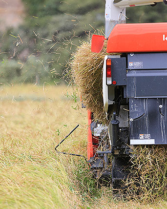 できるだけ近くの食糧を選ぶ