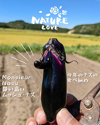 角屋農園のナスの食べ納