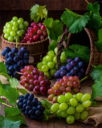 聖篭町 ブドウ園