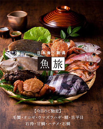 日本海新潟の魚旅