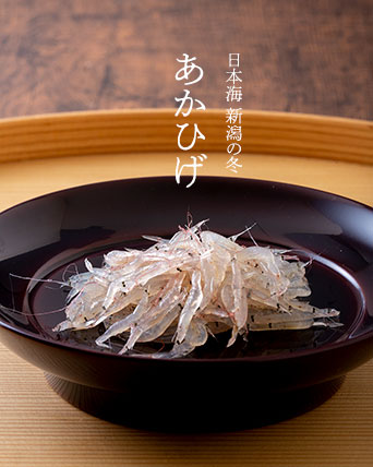 日本海新潟 あかひげ