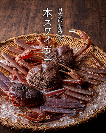 本ズワイガニ