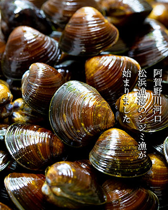 阿賀野川河口 松浜漁港伝統漁法のシジミ漁