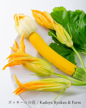 ズッキーニ