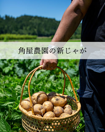 角屋農園の新じゃが