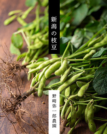 枝豆王国新潟県