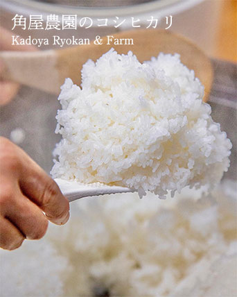 新米ごはん
