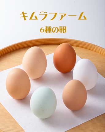 キムラファーム 卵