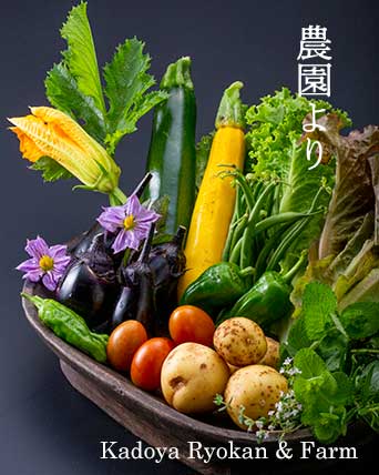 角屋農園今朝の野菜