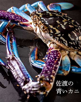 ローカルガストロノミー タイワンガザミ