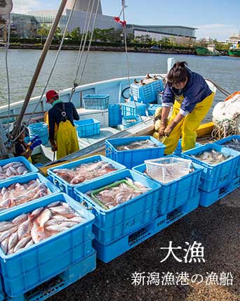 新潟漁港 大洋丸