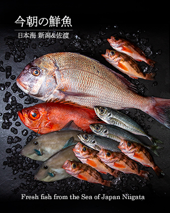 新潟の魚