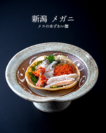 メガニ メス蟹 本ズワイガニ