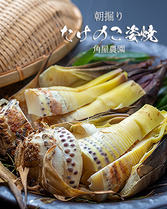 たけのこ姿焼き