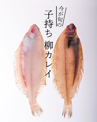 子持ち柳カレイ
