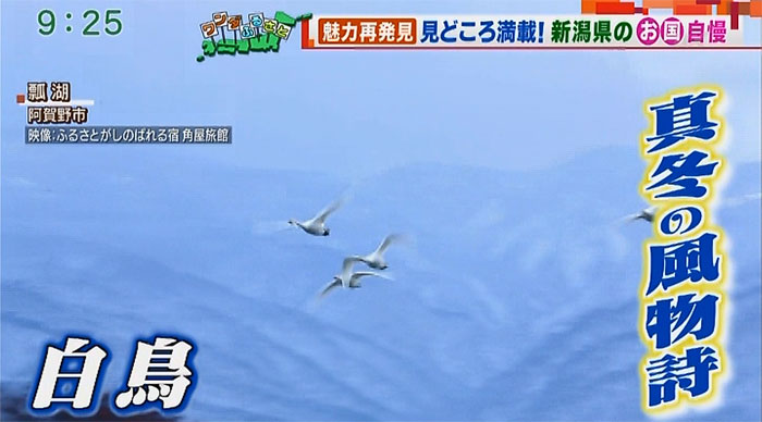 テレビ朝日 羽鳥慎一 モーニングショー