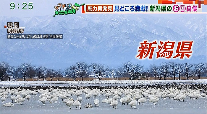 テレビ朝日 羽鳥慎一 モーニングショー