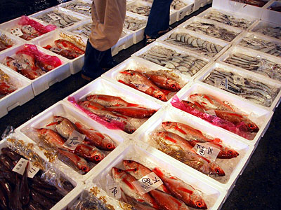 赤い魚がのどぐろ その隣の白いのがヤナギカレイ