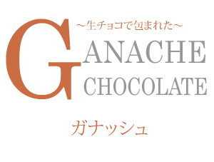 ガナッシュ 生チョコレートケーキ