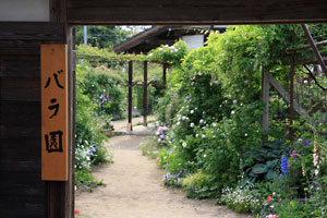 バラ園入口 二宮家バラ園