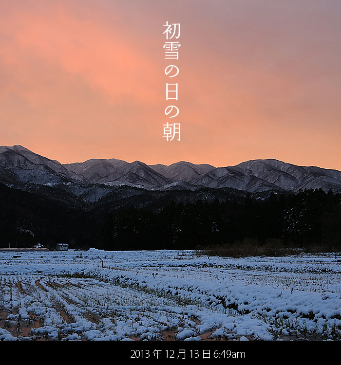 新潟の初雪の朝 朝食前に散歩へ出かけました
