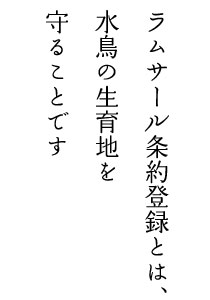 ラムサール条約登録とは、水鳥の生育地を守ることです。