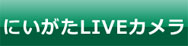 新潟ライブカメラ